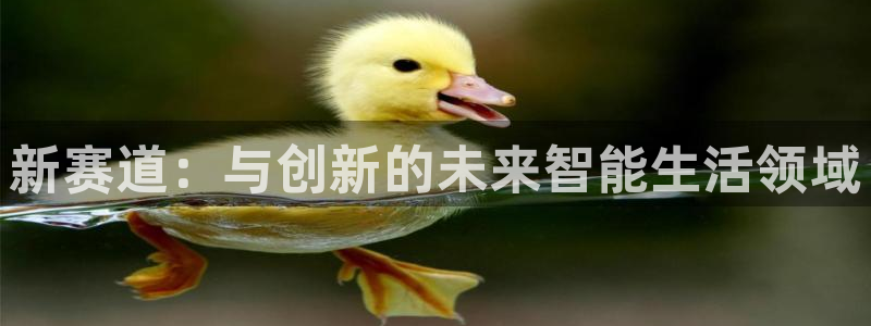 彩虹多多体育凯捷平台主管：新赛道：与创新的未来智能生活领域