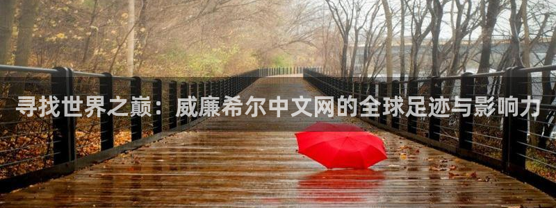 彩虹多多体育3：寻找世界之巅：威廉希尔中文网的全球足迹与影响力