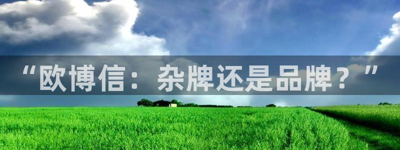 彩虹多多体育凯捷平台招商：“欧博信：杂牌还是品牌？”
