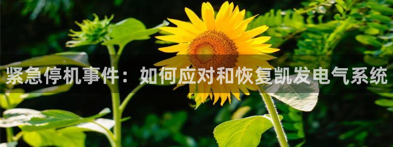 彩虹多多官网入口：紧急停机事件：如何应对和恢复凯发电气系统