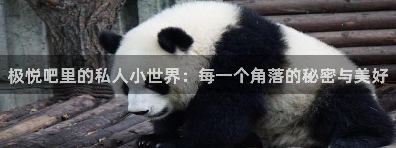 彩虹多多体育代理：极悦吧里的私人小世界：每一个角落的秘密与美好