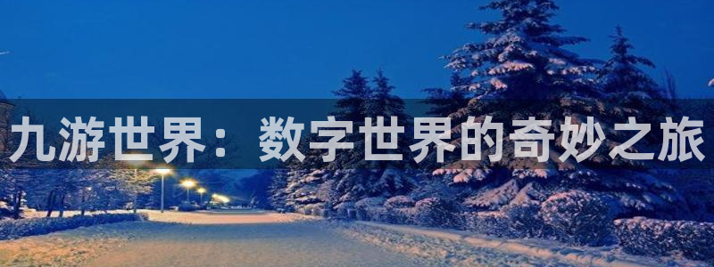 彩虹多多代理：九游世界：数字世界的奇妙之旅