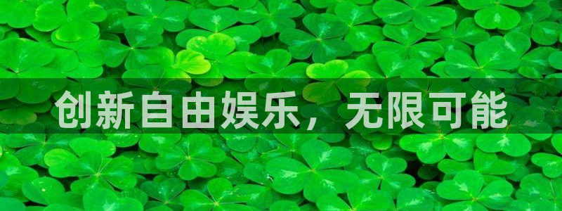 彩虹多多k：创新自由娱乐，无限可能