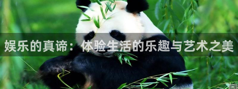 彩虹多多环保：娱乐的真谛：体验生活的乐趣与艺术之美