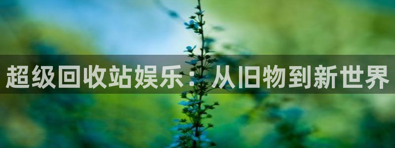彩虹多多包怎么样：超级回收站娱乐：从旧物到新世界