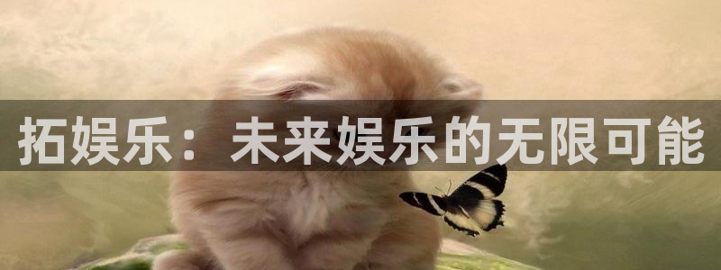 彩虹多多体育注册代理：拓娱乐：未来娱乐的无限可能
