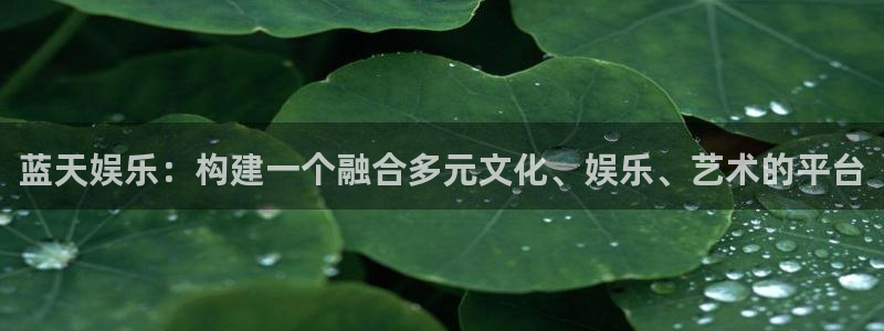 彩虹多多登陆：蓝天娱乐：构建一个融合多元文化、娱乐、艺术的平台