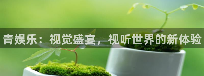 彩虹多多电子有限公司：青娱乐：视觉盛宴，视听世界的新体验
