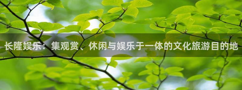 成都彩虹多多电子有限公司：长隆娱乐：集观赏、休闲与娱乐于一体的文化旅游目的地