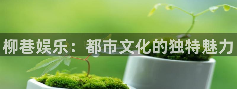 彩虹多多体育官网注册：柳巷娱乐：都市文化的独特魅力