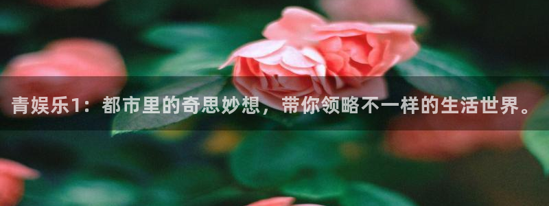 彩虹多多体育合法嘛：青娱乐1：都市里的奇思妙想，带你领略不一样的生活世界。