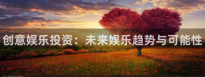 彩虹多多集团股票