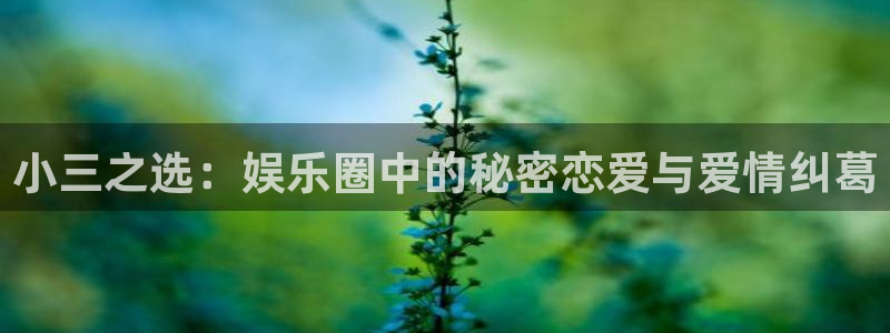 彩虹多多
