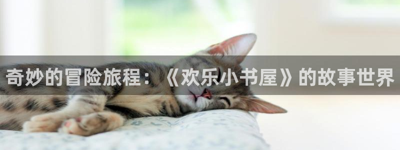 彩虹多多平台总代理