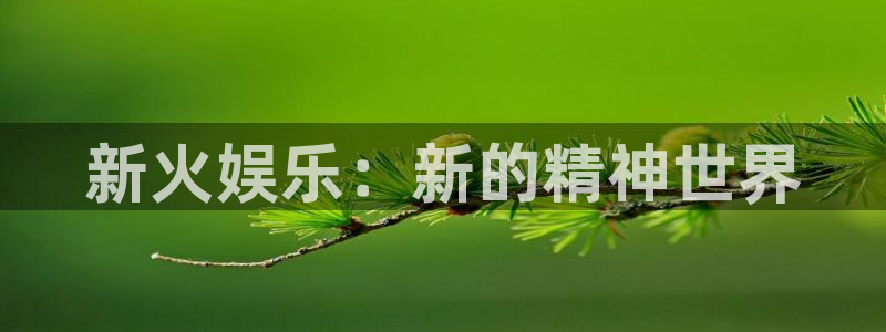 彩虹多多主管：新火娱乐：新的精神世界