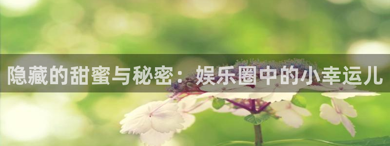 彩虹多多集团：隐藏的甜蜜与秘密：娱乐圈中的小幸运儿